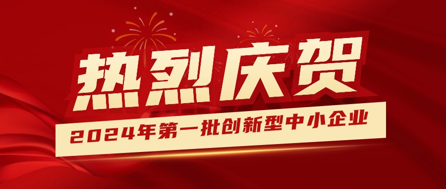 喜報！集團獲認定為2024年第一批創(chuàng  )新型中小企業(yè) 