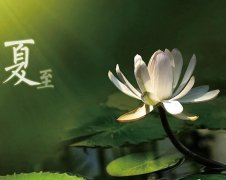 夏至節(jié)氣，廣西強(qiáng)壽藥業(yè)集團(tuán)提醒您注意防暑降溫