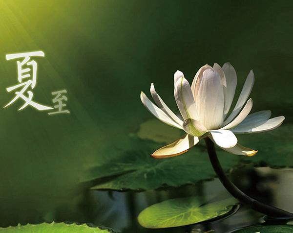 廣西強壽藥業(yè)集團提醒您注意防暑降溫