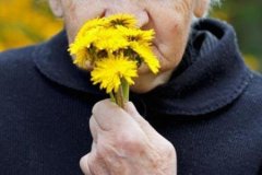 進(jìn)行性癡呆是怎么回事_進(jìn)行性癡呆的病因、預(yù)防