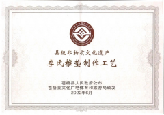 喜報！恭賀李氏椎墊成功申請非物質(zhì)文化遺產(chǎn)