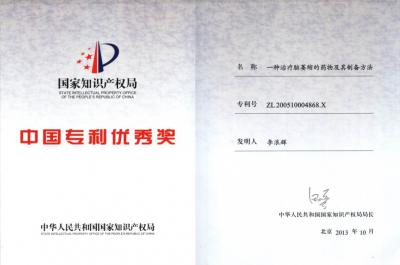 中國(guó)專利優(yōu)秀獎(jiǎng)